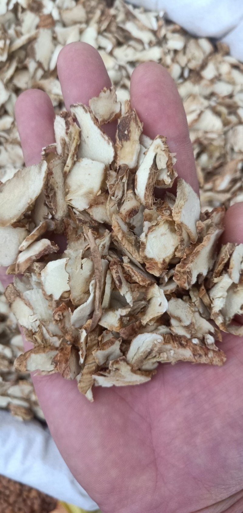 知母片无硫各种规格中药材知母肉毛知母知母片山知母连母