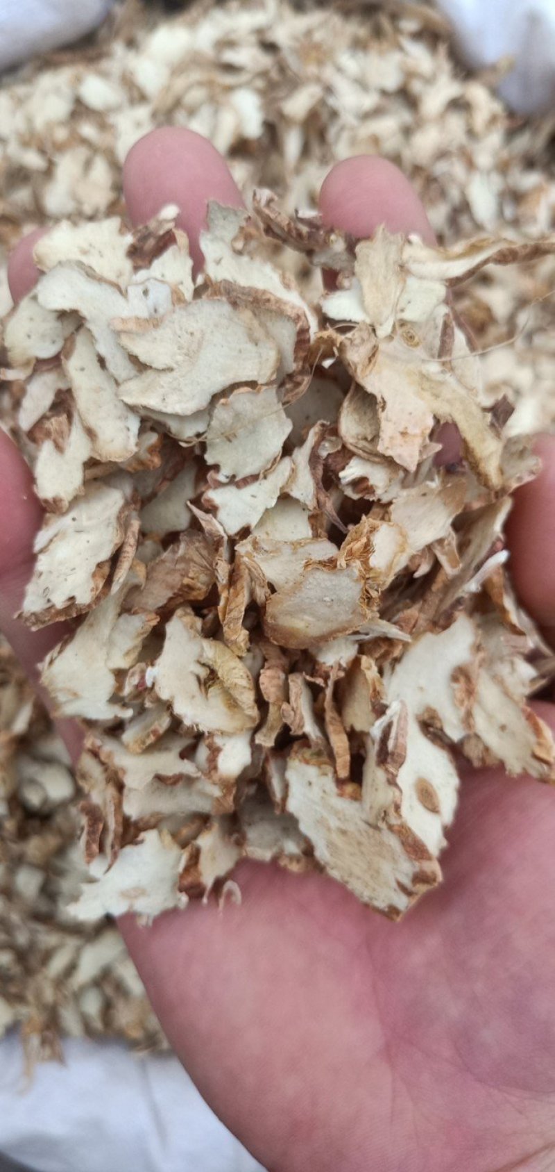 知母片无硫各种规格中药材知母肉毛知母知母片山知母连母