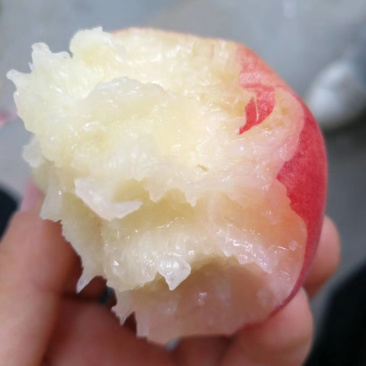 突围水蜜桃一件代发大量供应