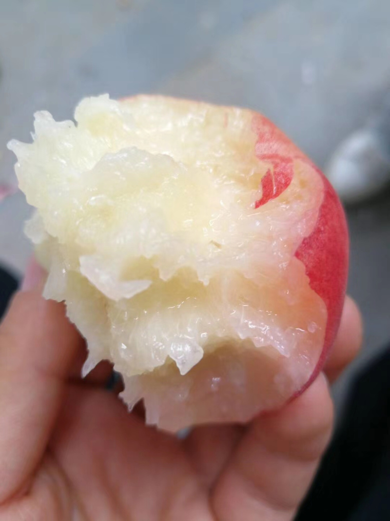 突围水蜜桃一件代发大量供应