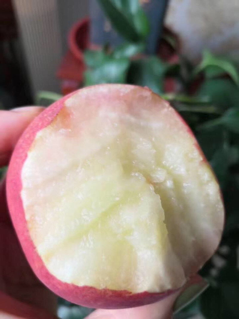 突围水蜜桃一件代发大量供应
