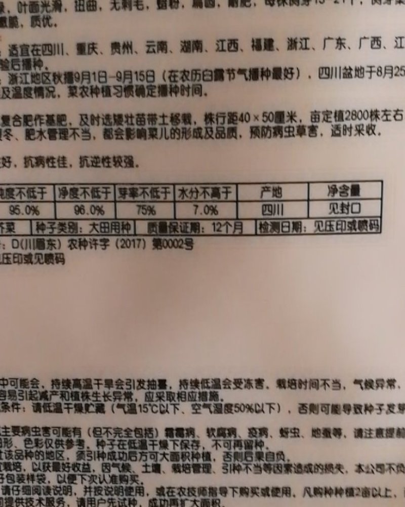 脆嫩儿菜中晚熟儿多肥壮品质鲜嫩味甜美无苦味肉白嫩脆优质。