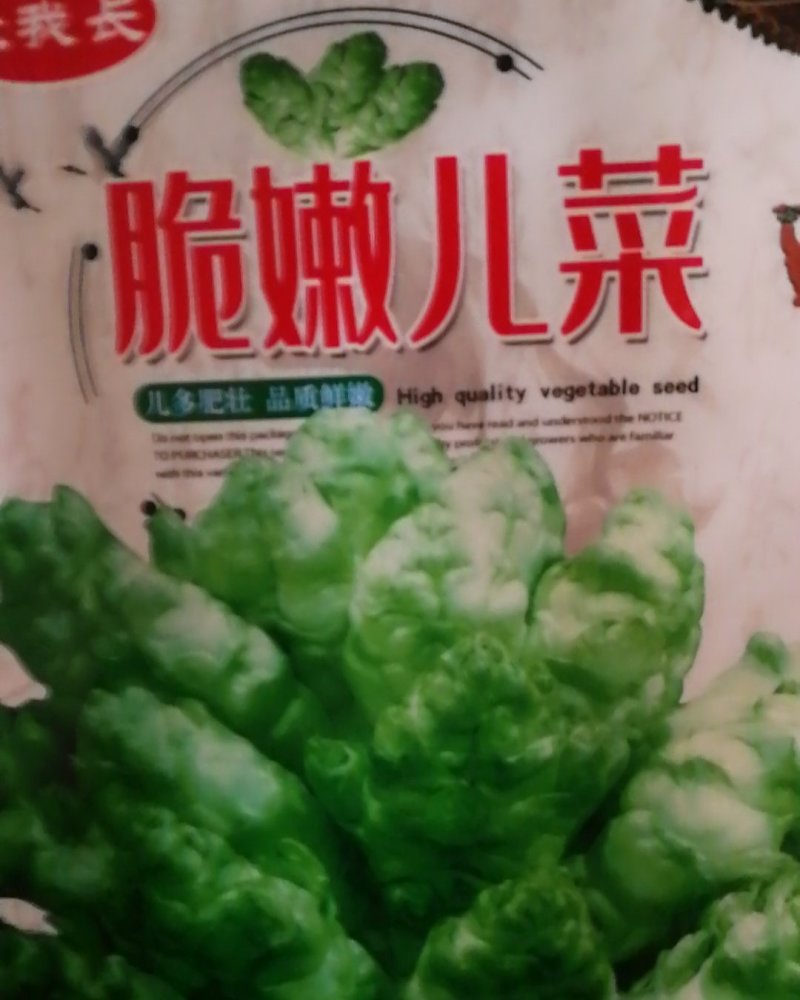 脆嫩儿菜中晚熟儿多肥壮品质鲜嫩味甜美无苦味肉白嫩脆优质。