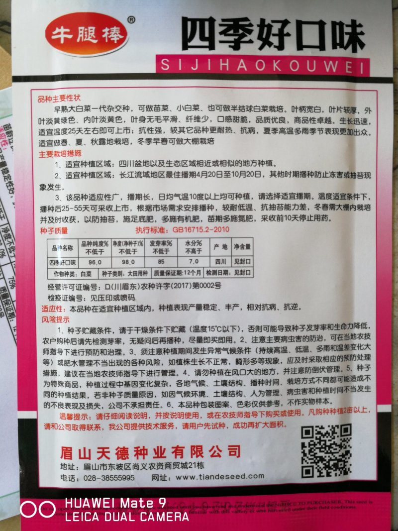 早熟大白菜一代杂交可做苗菜小白菜也可做半结球白菜栽培灬