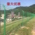 厂家直销铁丝网围栏护栏网公路隔离网果园围栏动植物围网