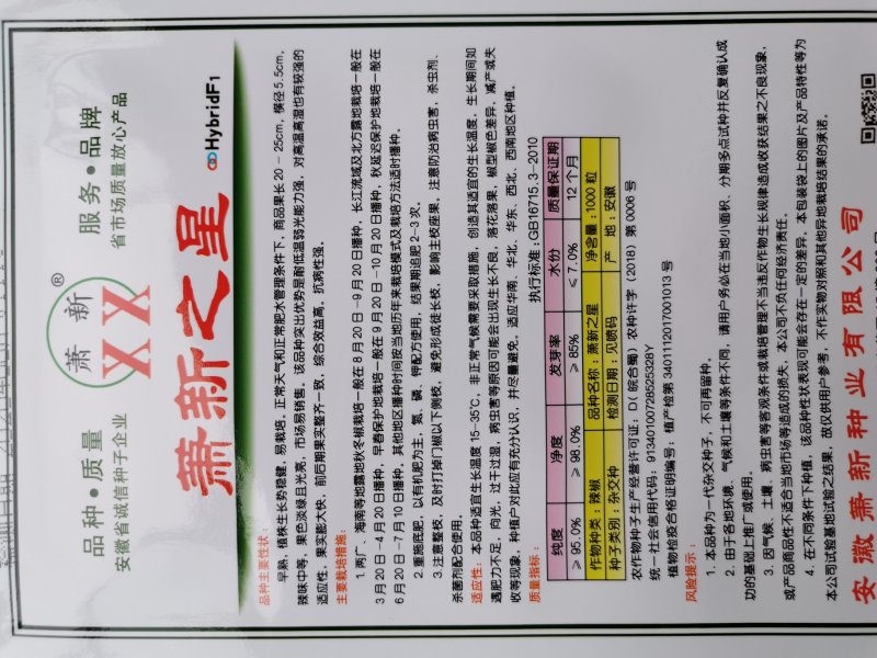 萧新之星大果薄皮辣椒种籽高产泡椒灯笼椒种