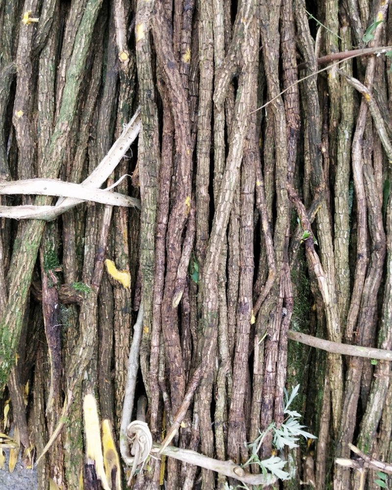 土黄莲，八角刺黄莲纯野生片干品产地直销，货量充足