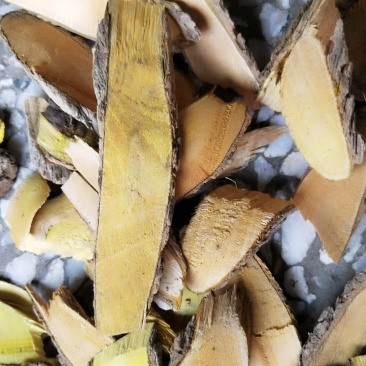 土黄莲，八角刺黄莲纯野生片干品产地直销，货量充足