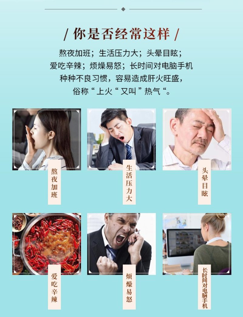 菊花决明子茶金银花枸杞牛蒡熬夜恢复茶一件代发