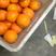 脐橙果汁专用脐橙大量供应，欢迎全国老板联系咨询可视频看货