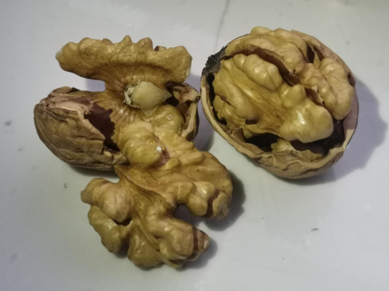 【精选纸皮核桃】唐山特产皮薄如纸果仁饱满，产地直销。
