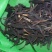 川藏甘孜州理塘县高原虫草