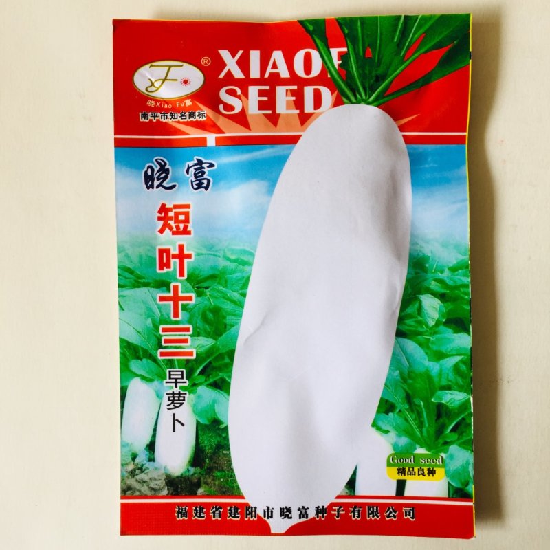 晓富短叶十三早白皮萝卜种子