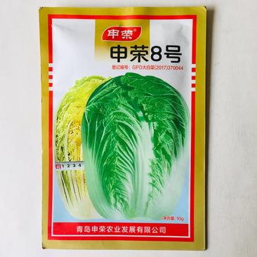 申荣8号大白菜种子中熟内心黄色