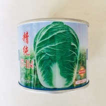 精纯87一114大白菜种子