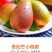 百色田阳田东贵妃芒电商对接