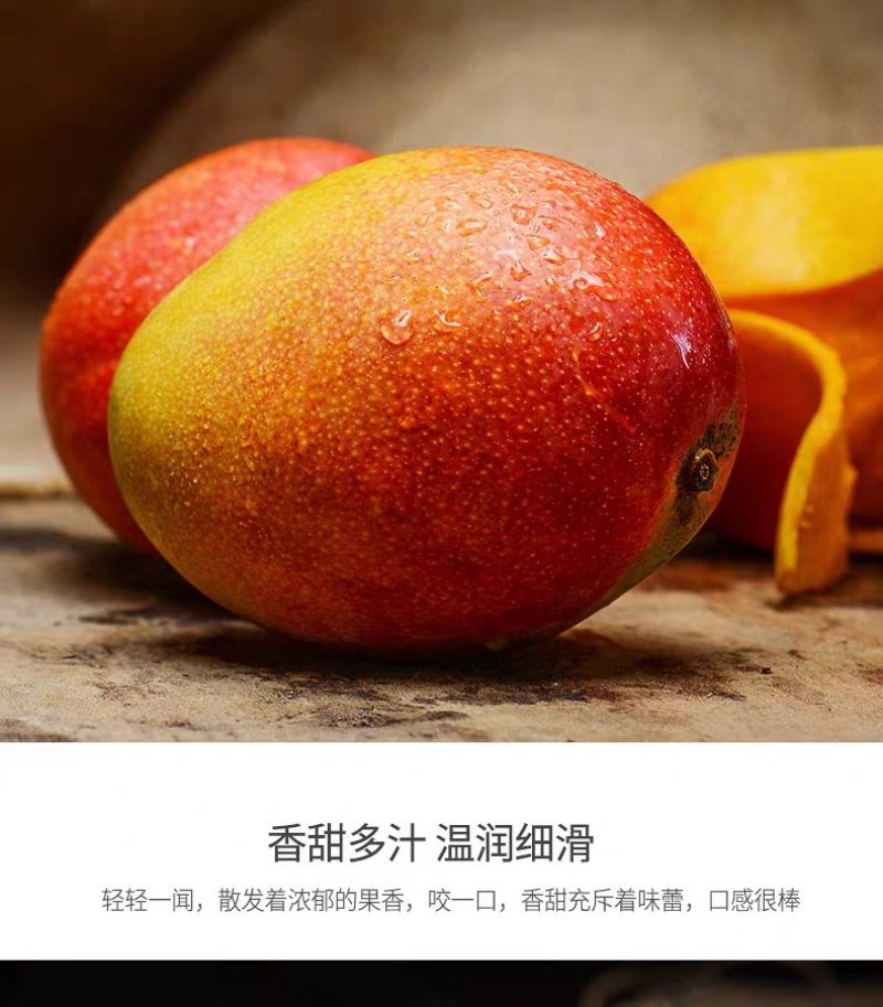 百色田阳田东贵妃芒电商对接