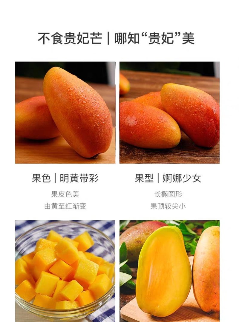 百色田阳田东贵妃芒电商对接