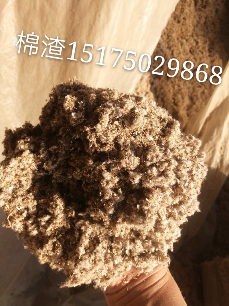 棉壳，棉渣，棉籽饼常年出售