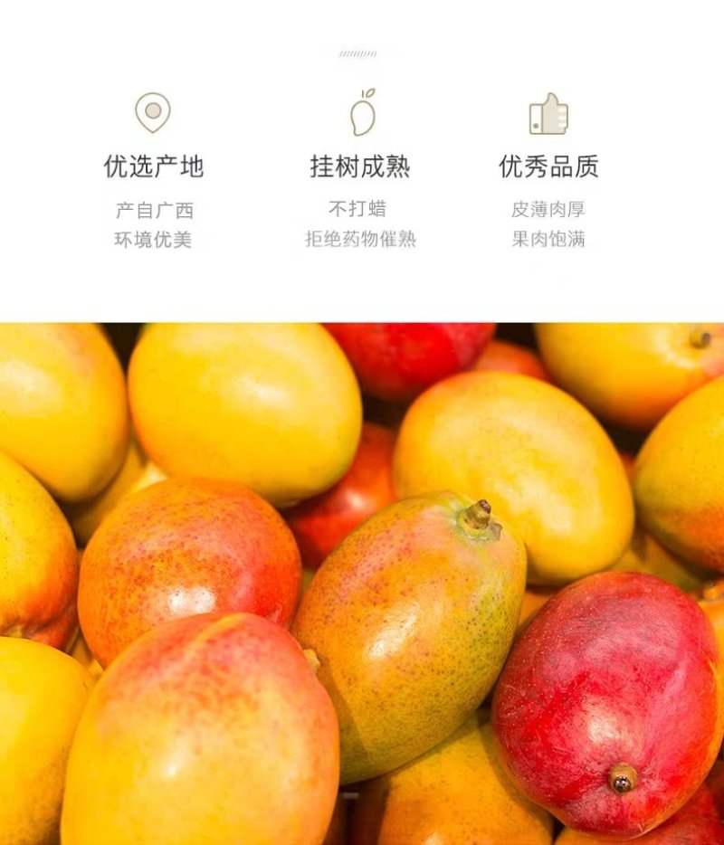 百色田阳田东贵妃芒电商对接