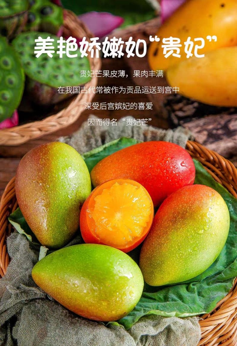 百色田阳田东贵妃芒电商对接