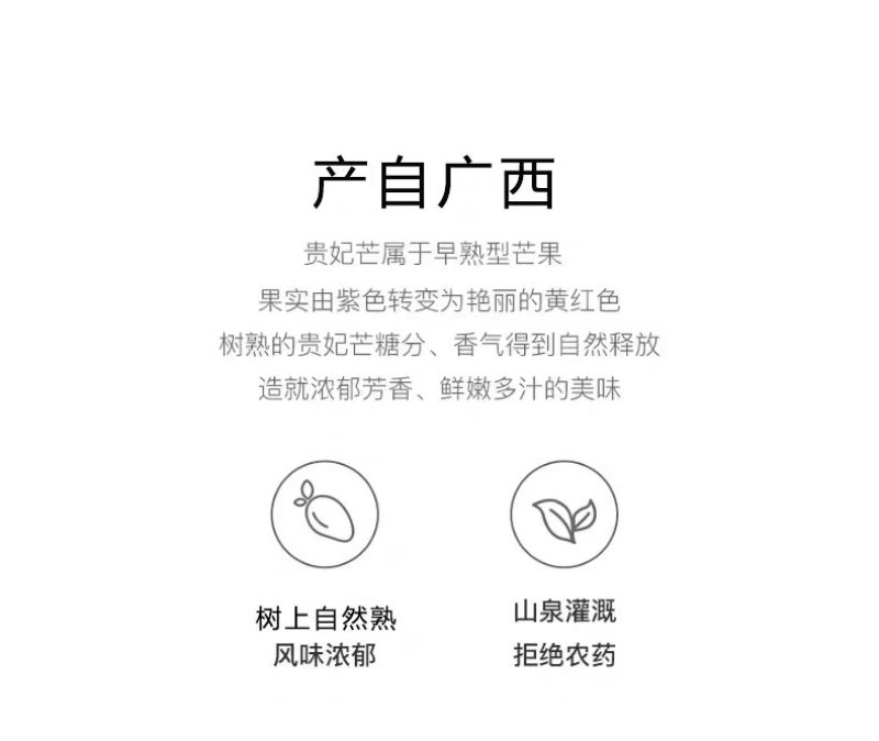 百色田阳田东贵妃芒电商对接