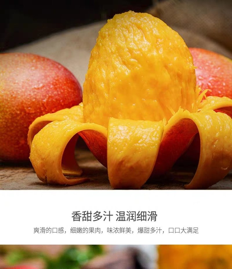 百色田阳田东贵妃芒电商对接