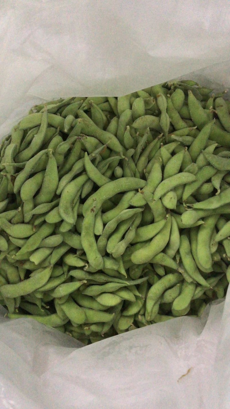 加工厂毛豆台湾75-3基地直供，可视频看货！