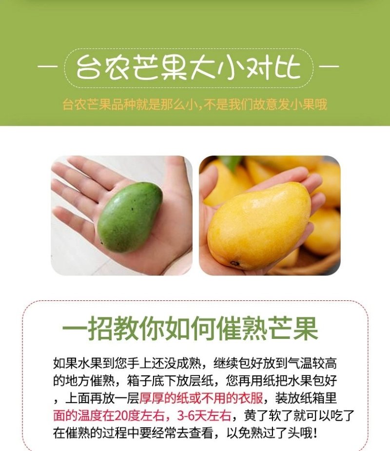 田阳小台农电商对接
