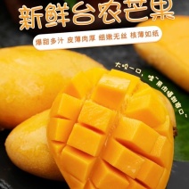 田阳小台农电商对接