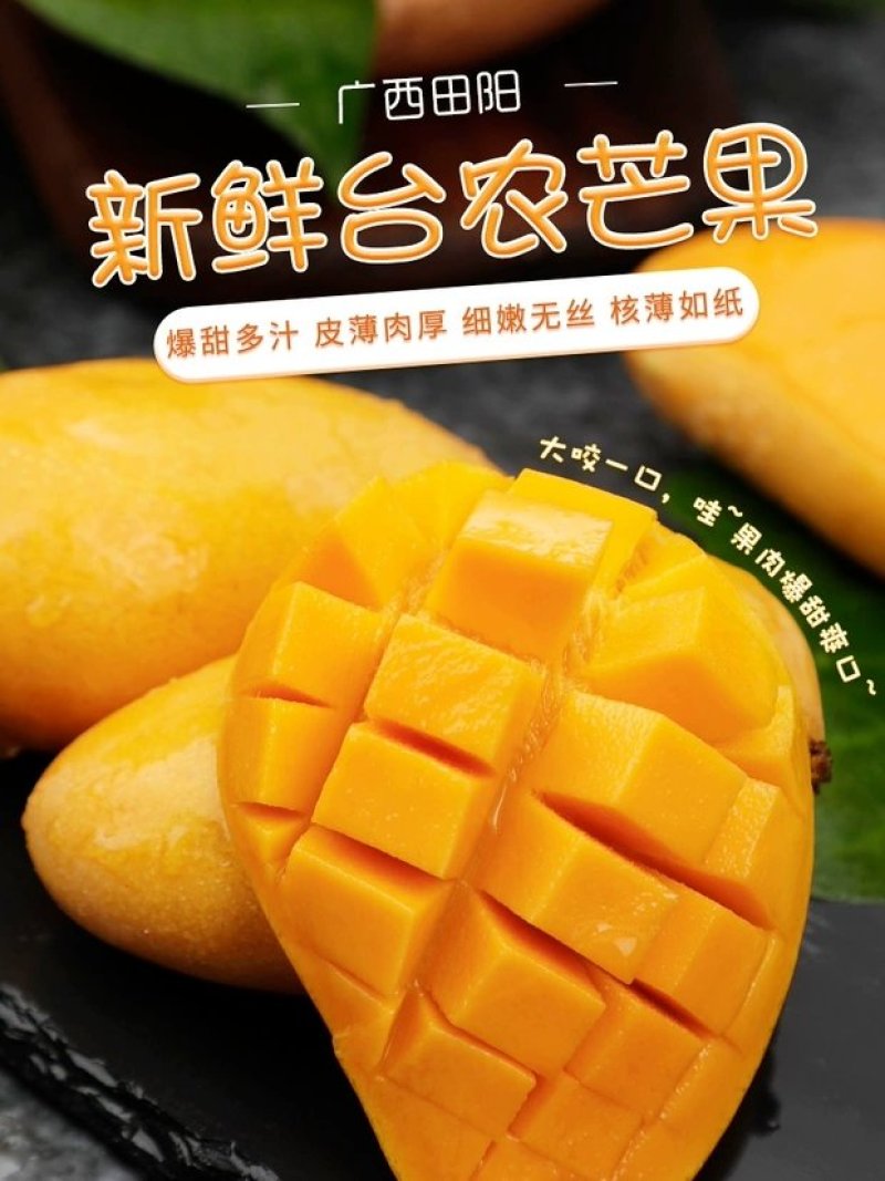 田阳小台农电商对接