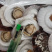 扇贝粉丝，新鲜速冻扇贝粉丝，无蒜蓉扇贝粉丝