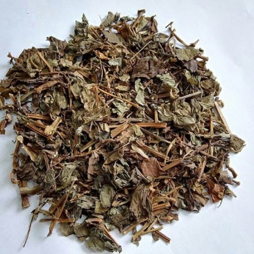 大深山里野生鱼腥草干货