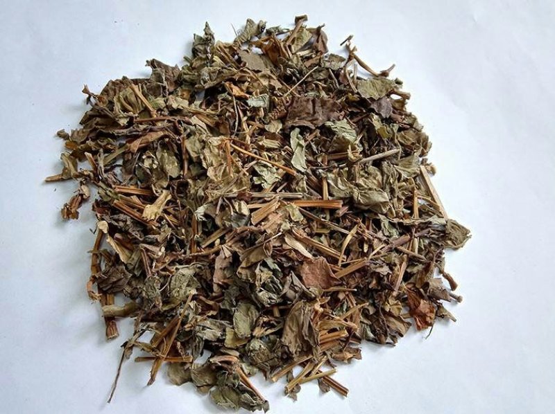 大深山里野生鱼腥草干货