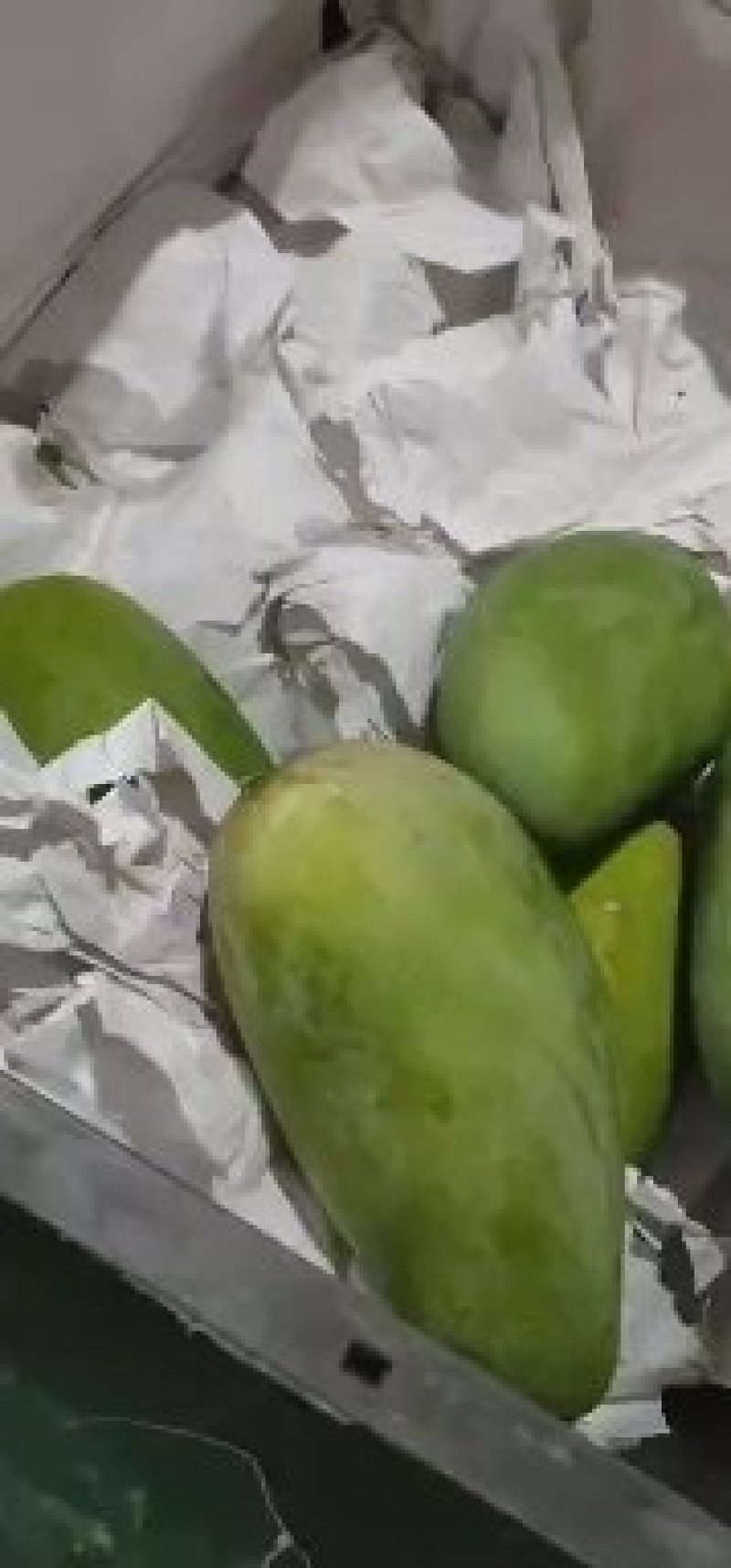 越南进口大青芒电商对接