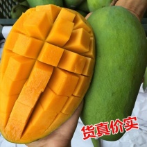 越南进口大青芒电商对接