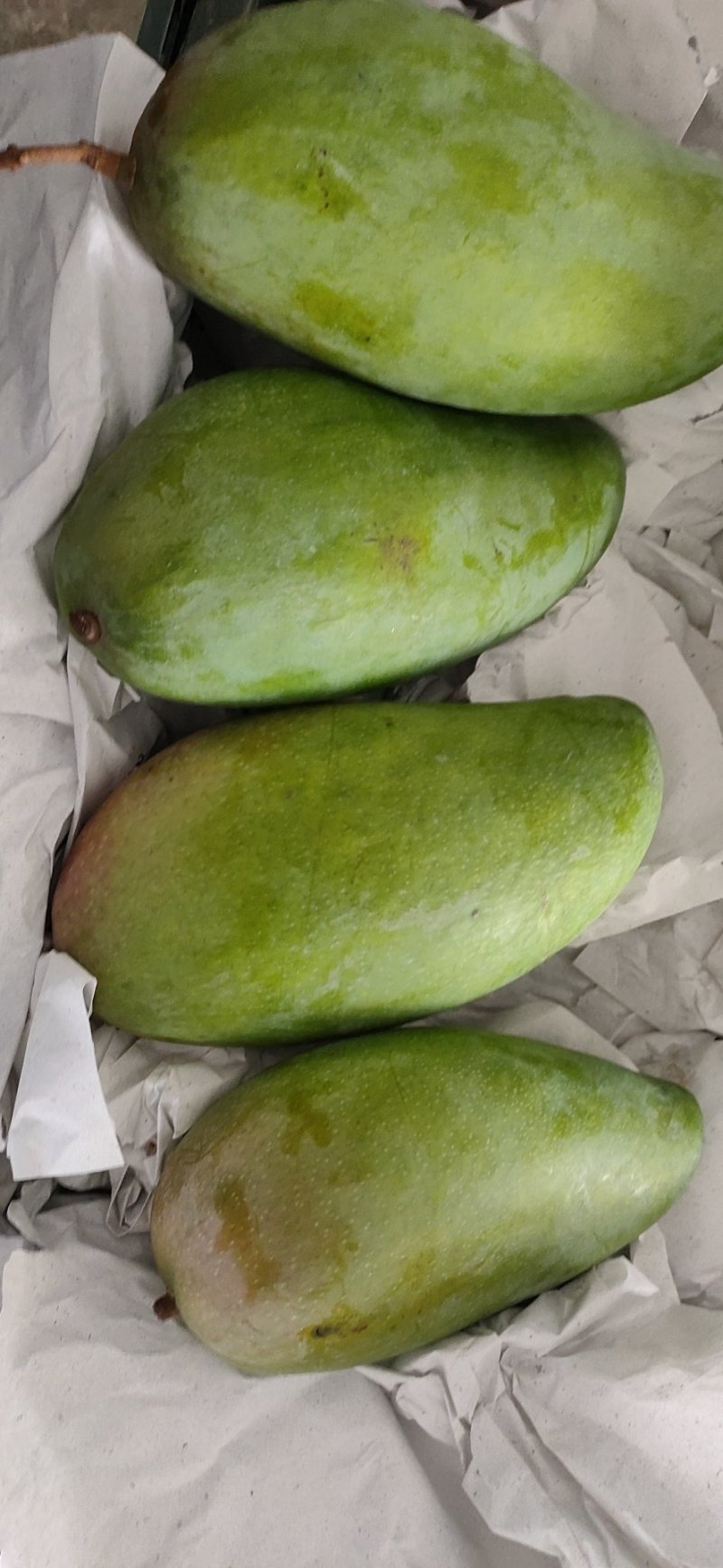 越南进口大青芒电商对接