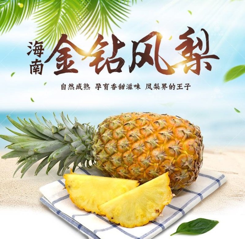 海南金钻凤梨【一件代发】电商平台微商代理社区团购