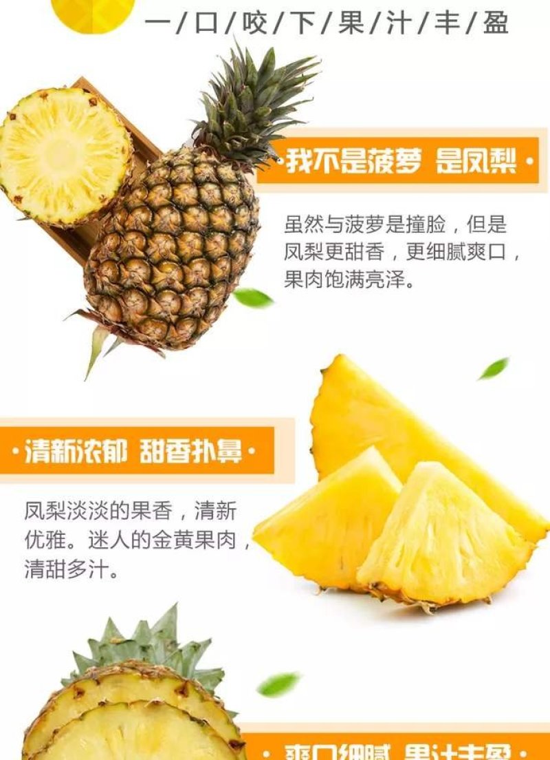 海南金钻凤梨【一件代发】电商平台微商代理社区团购