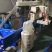 生态新鲜油粘米，现碾现卖不包邮