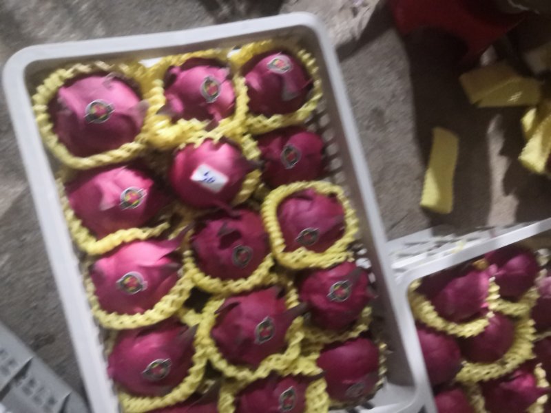 实力代办，火龙果大量有货