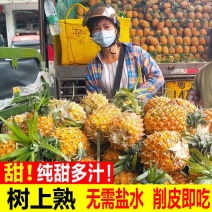 正宗金钻凤梨整箱新鲜现摘应季水果孕妇手撕无眼菠萝