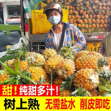 正宗海南金钻凤梨整箱新鲜现摘应季水果孕妇手撕无眼菠萝