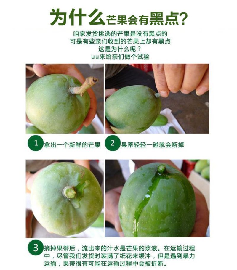 【支持一件代发】青皮金煌芒，新鲜芒果，带青花皮