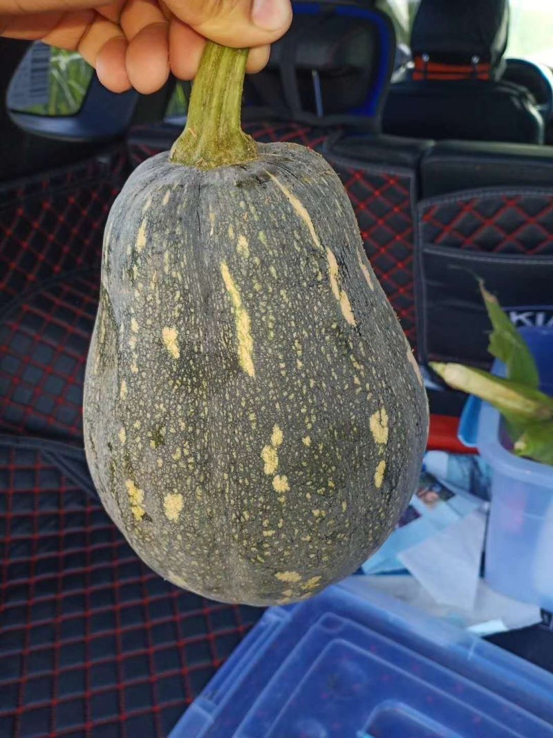 香芋南瓜