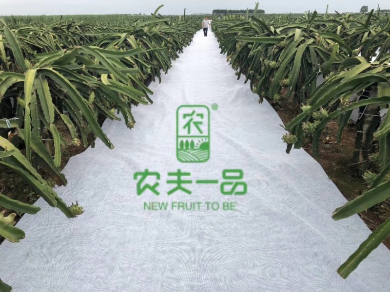 蔬菜，百香果，药材，柑橘专用防草布
