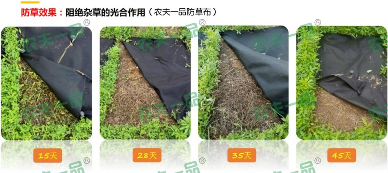 蔬菜，百香果，药材，柑橘专用防草布