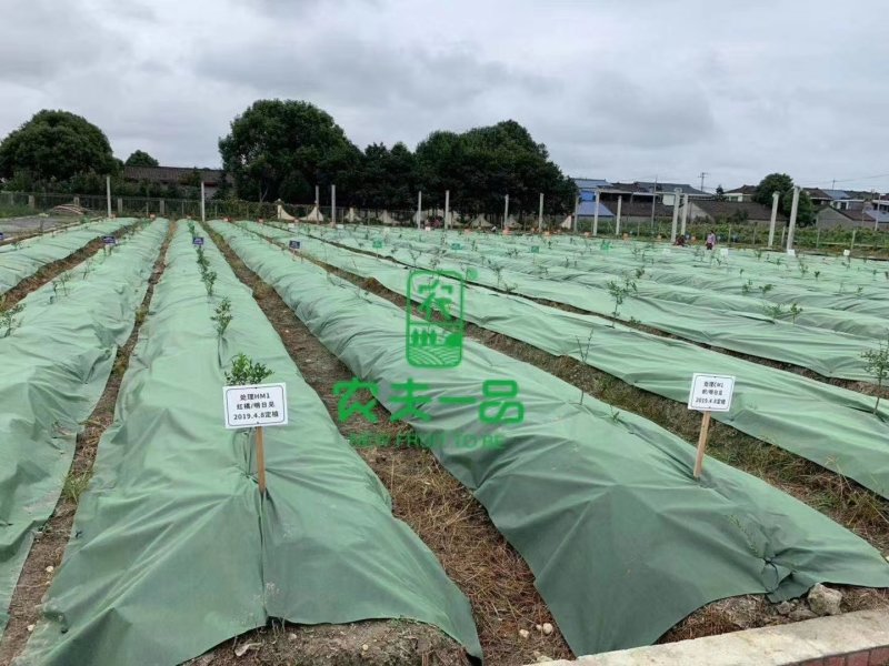 蔬菜，百香果，药材，柑橘专用防草布