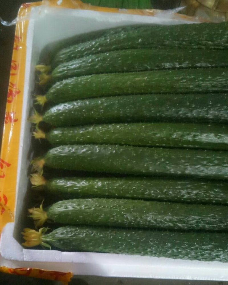 黄瓜