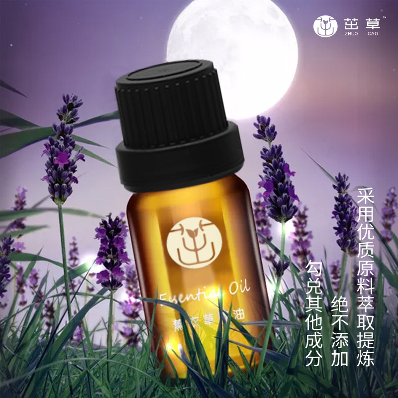 新疆伊犁薰衣草干花250克每束英国蓝干花